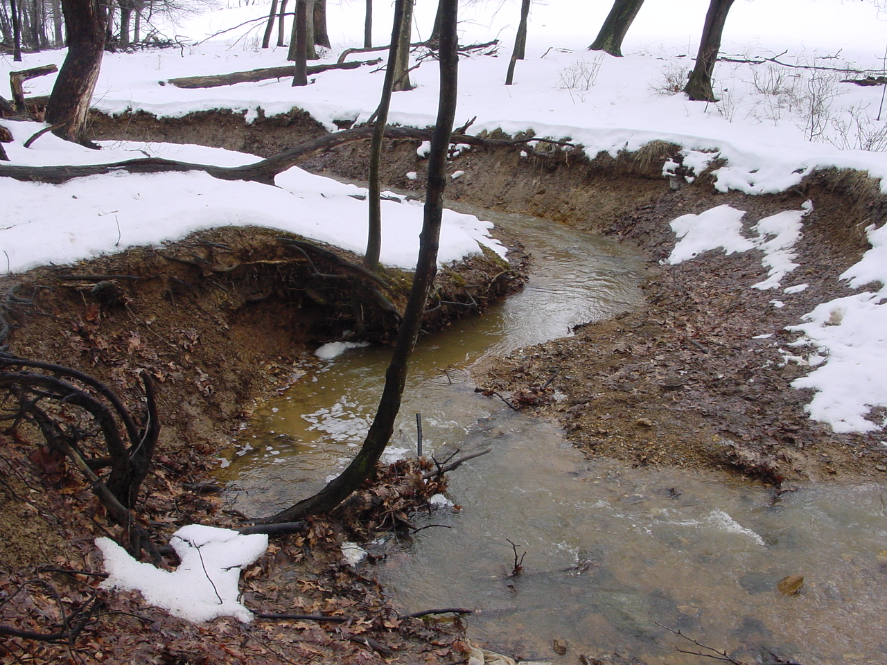 Field photo showing stream conditions at site LMON-123-R-2003-2