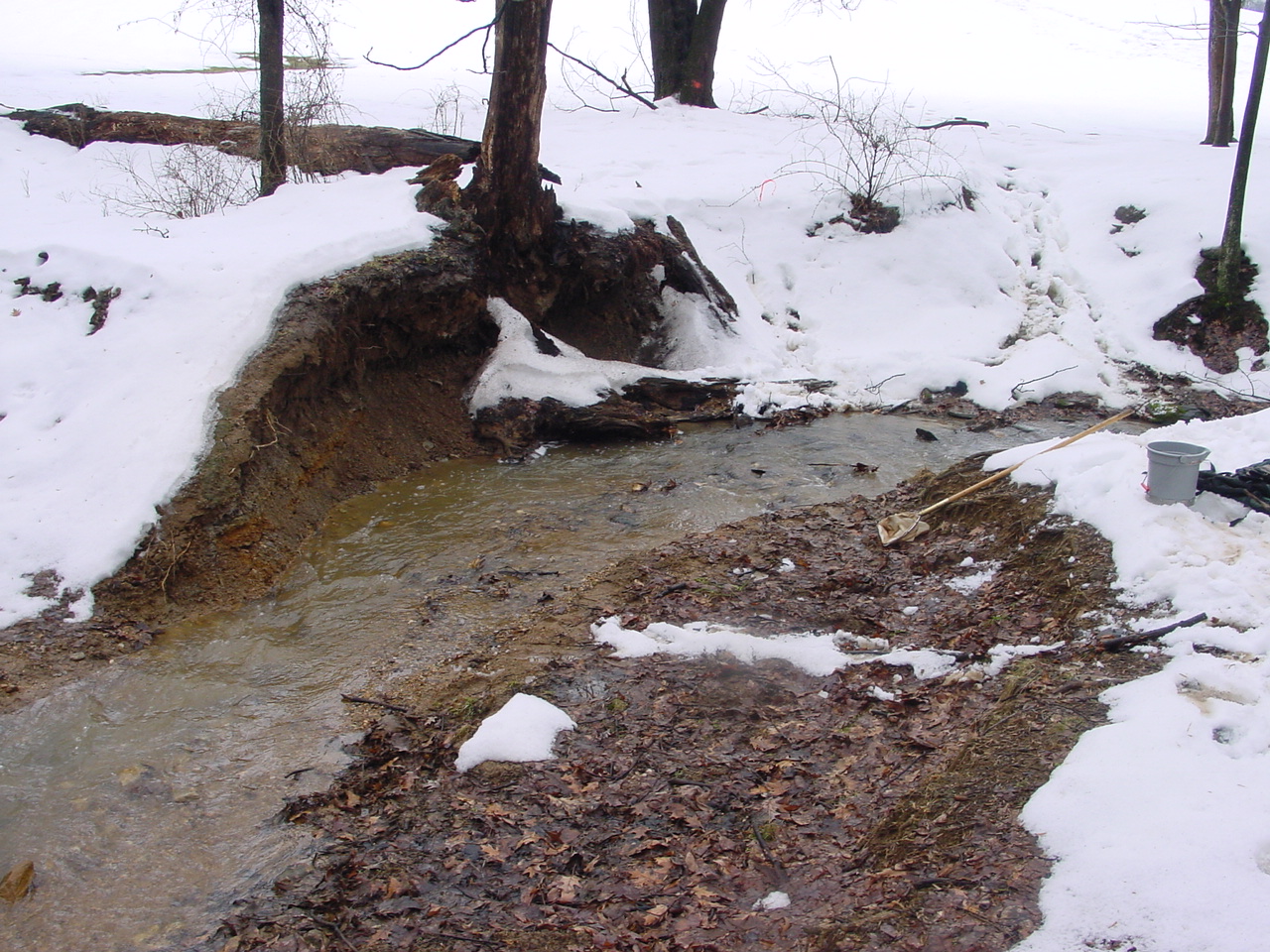 Field photo showing stream conditions at site LMON-123-R-2003-3