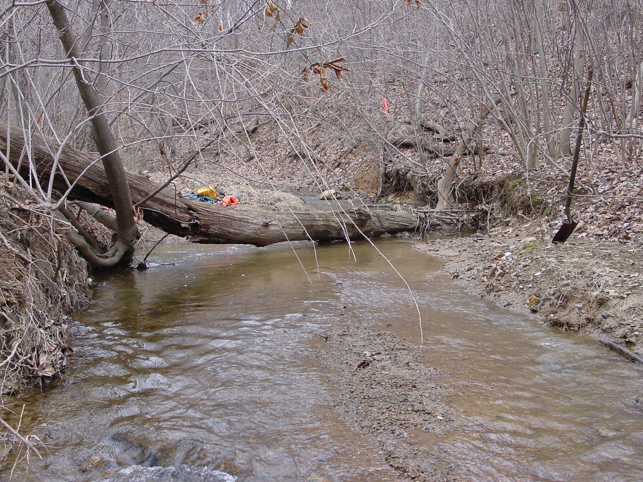 Field photo showing stream conditions at site LMON-125-R-2003-1