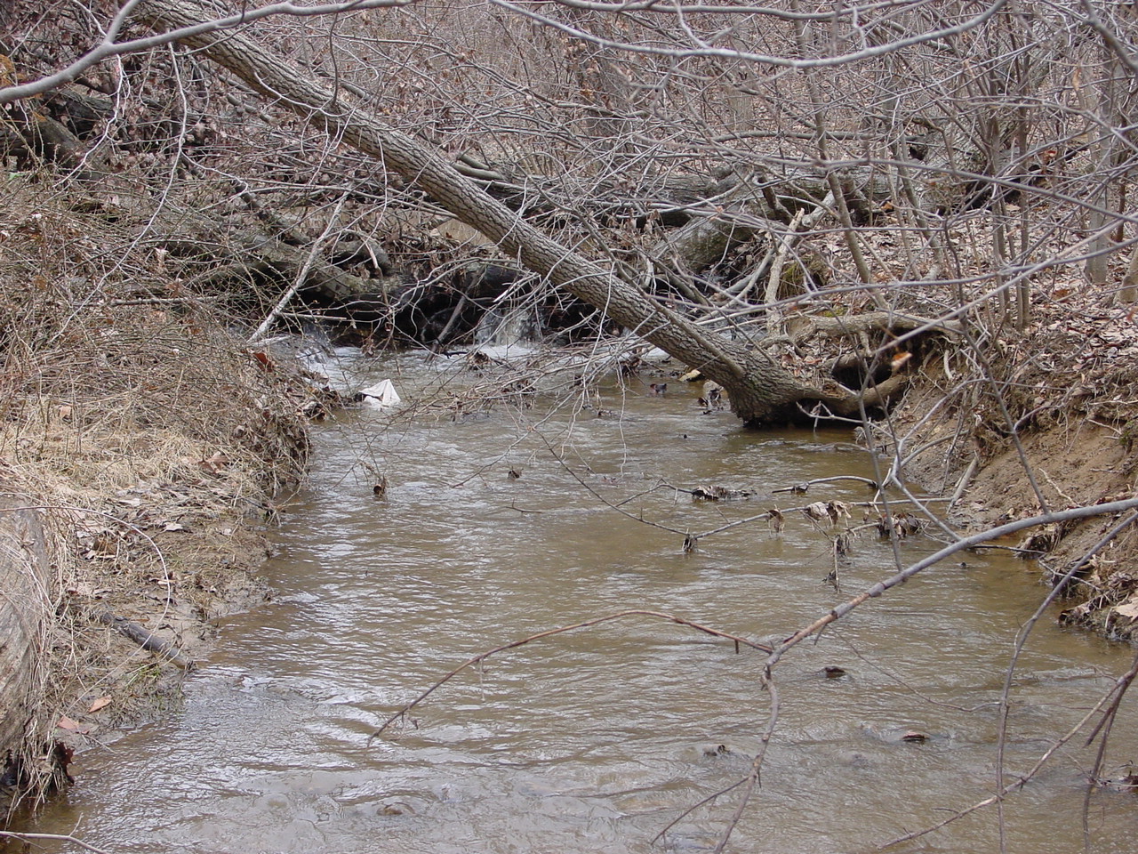Field photo showing stream conditions at site LMON-125-R-2003-2