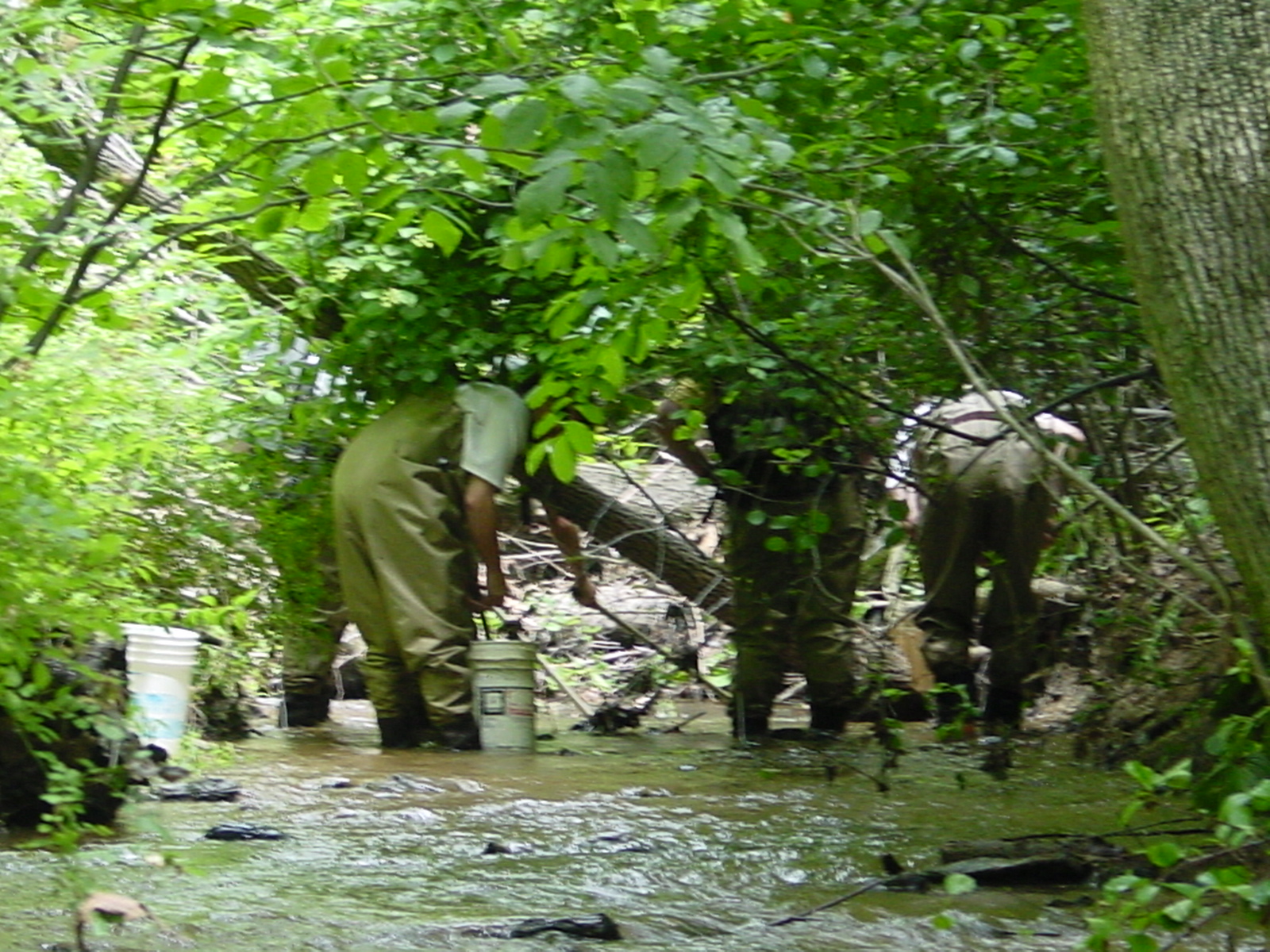 Field photo showing stream conditions at site LMON-125-R-2003-3