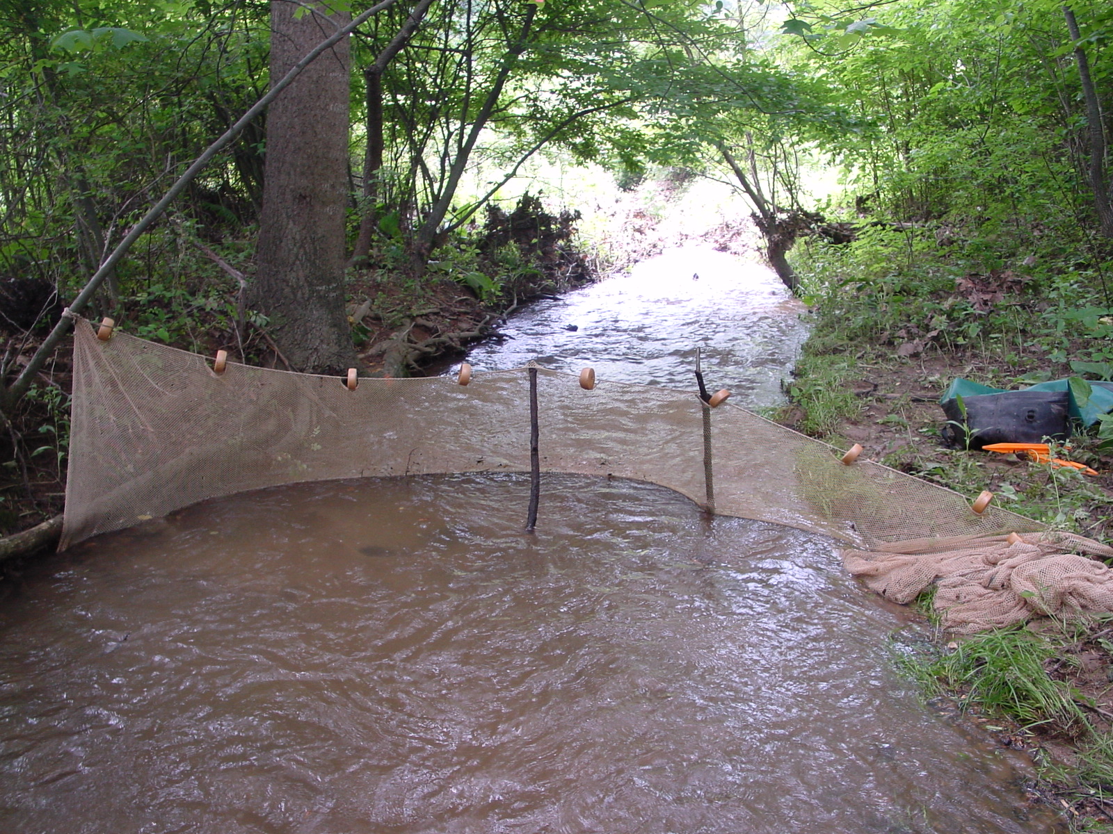 Field photo showing stream conditions at site LMON-125-R-2003-4