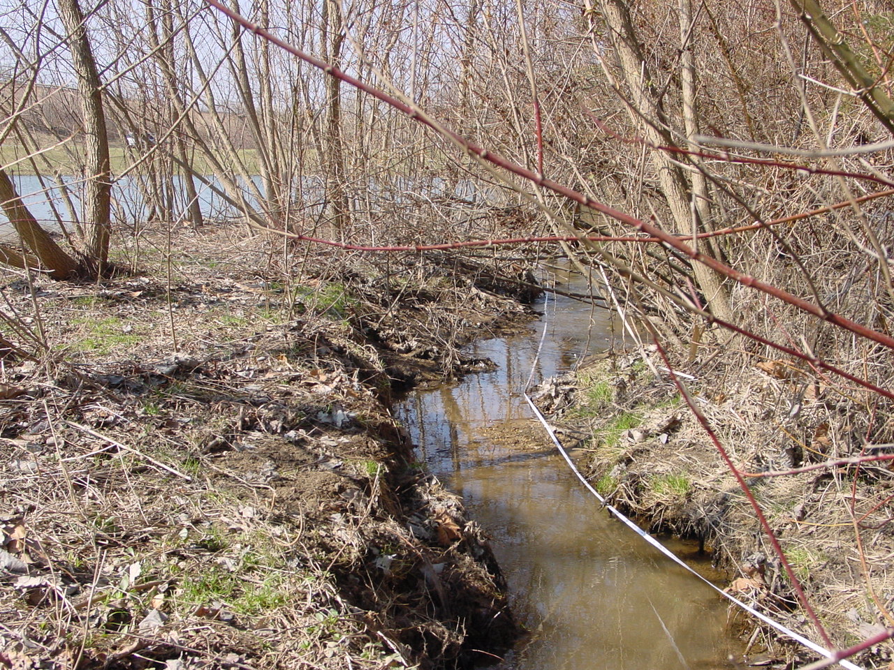 Field photo showing stream conditions at site LMON-127-R-2003-3