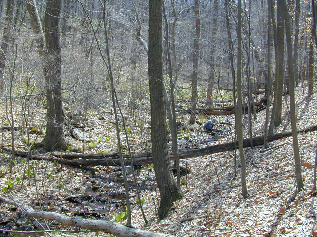 Field photo showing stream conditions at site LMON-130-T-2000-01