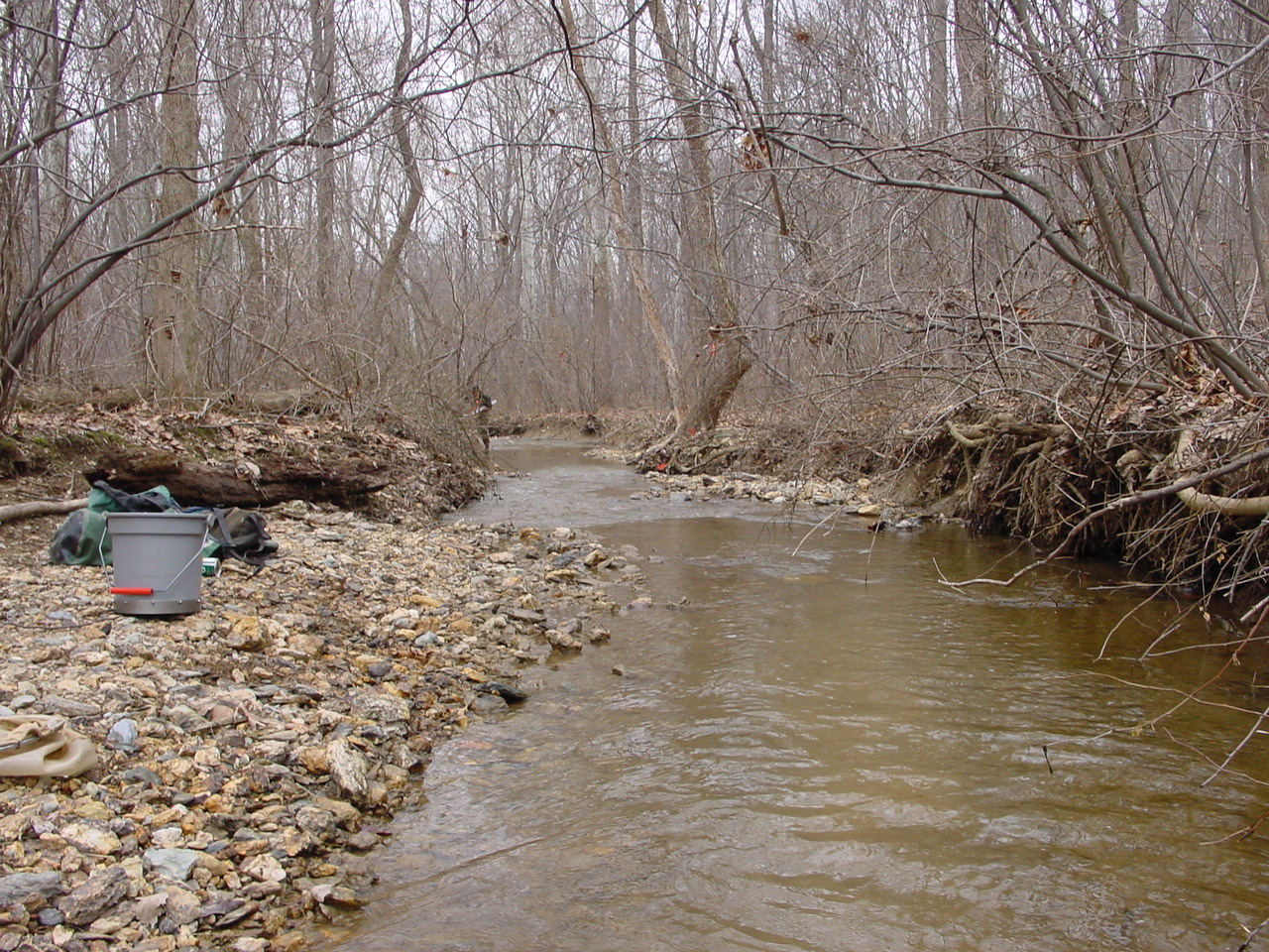 Field photo showing stream conditions at site LMON-131-R-2003-3