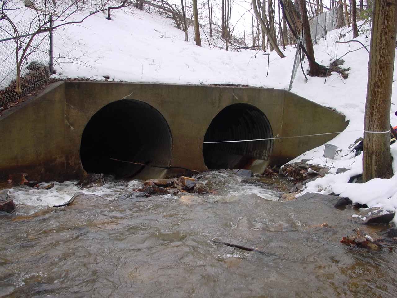 Field photo showing stream conditions at site LMON-136-R-2003-2
