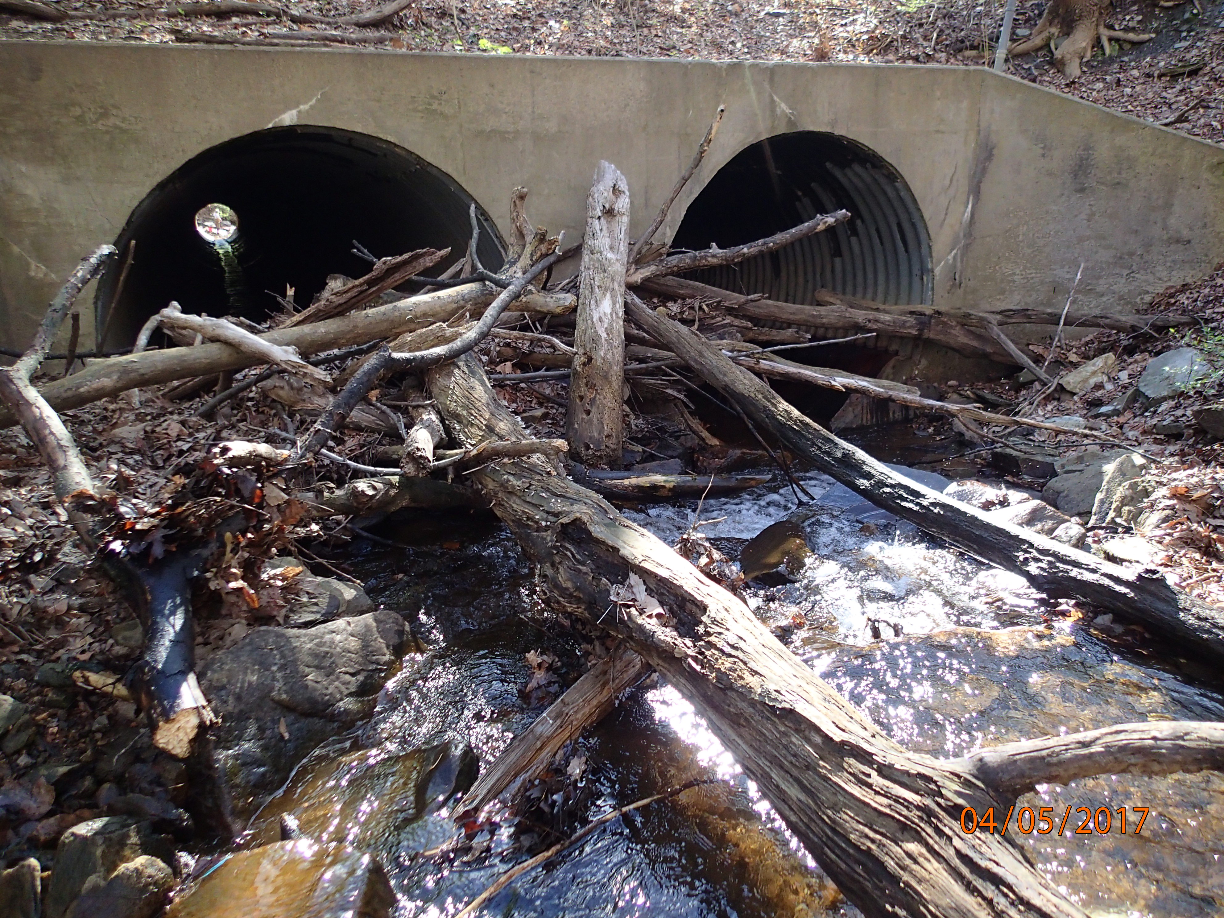 Field photo showing stream conditions at site LMON-136-R-2017-DownstreamFrom75m