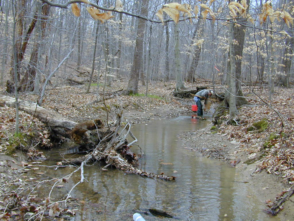 Field photo showing stream conditions at site LMON-136-T-2000-02