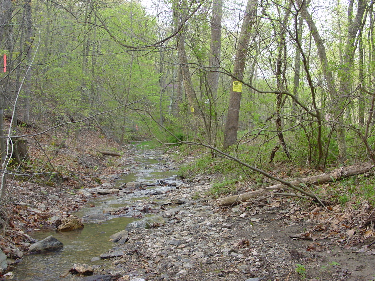 Field photo showing stream conditions at site LMON-142-R-2003-2