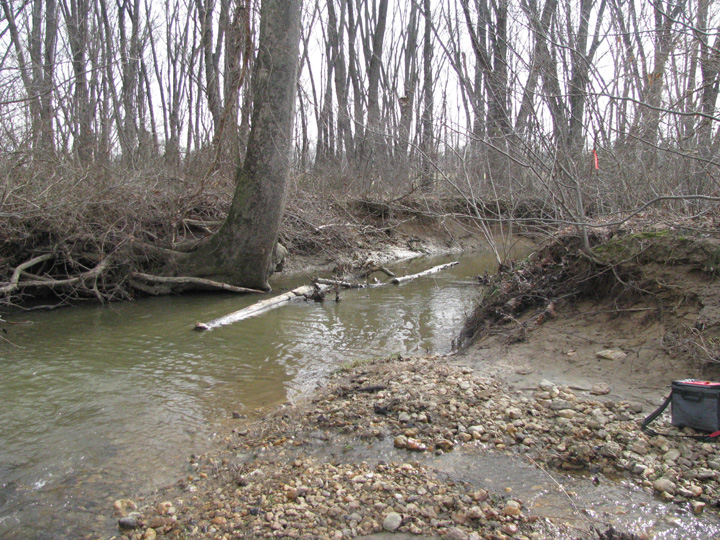 Field photo showing stream conditions at site LMON-201-X-2011-1