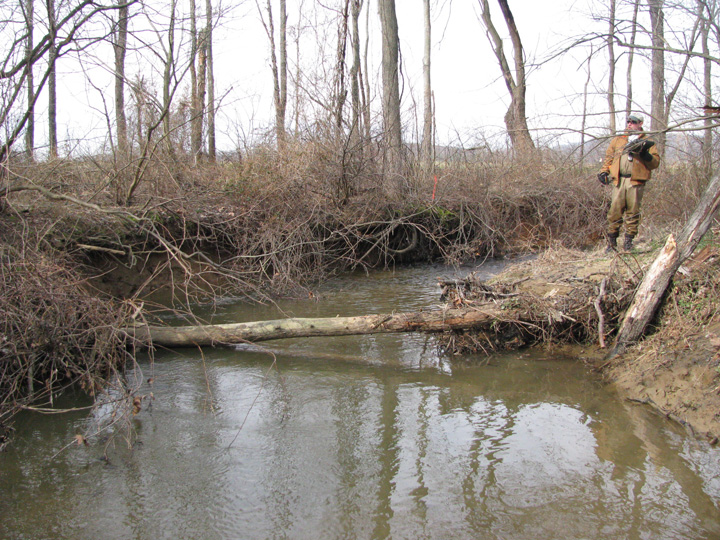 Field photo showing stream conditions at site LMON-201-X-2011-2