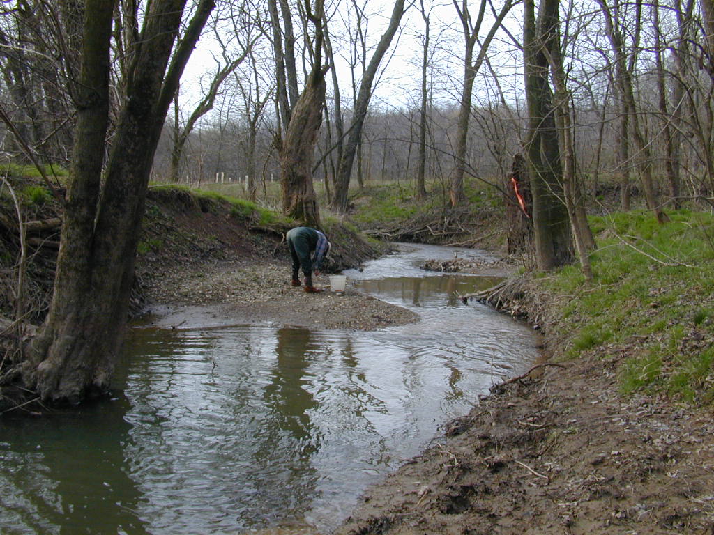 Field photo showing stream conditions at site LMON-202-T-2000-01