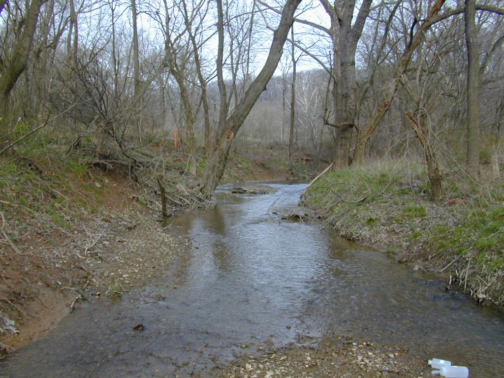 Field photo showing stream conditions at site LMON-202-T-2000-02