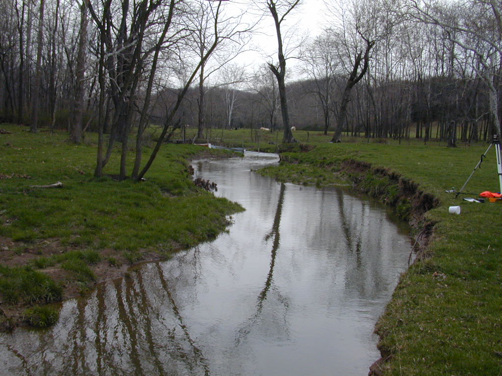 Field photo showing stream conditions at site LMON-203-T-2000-01