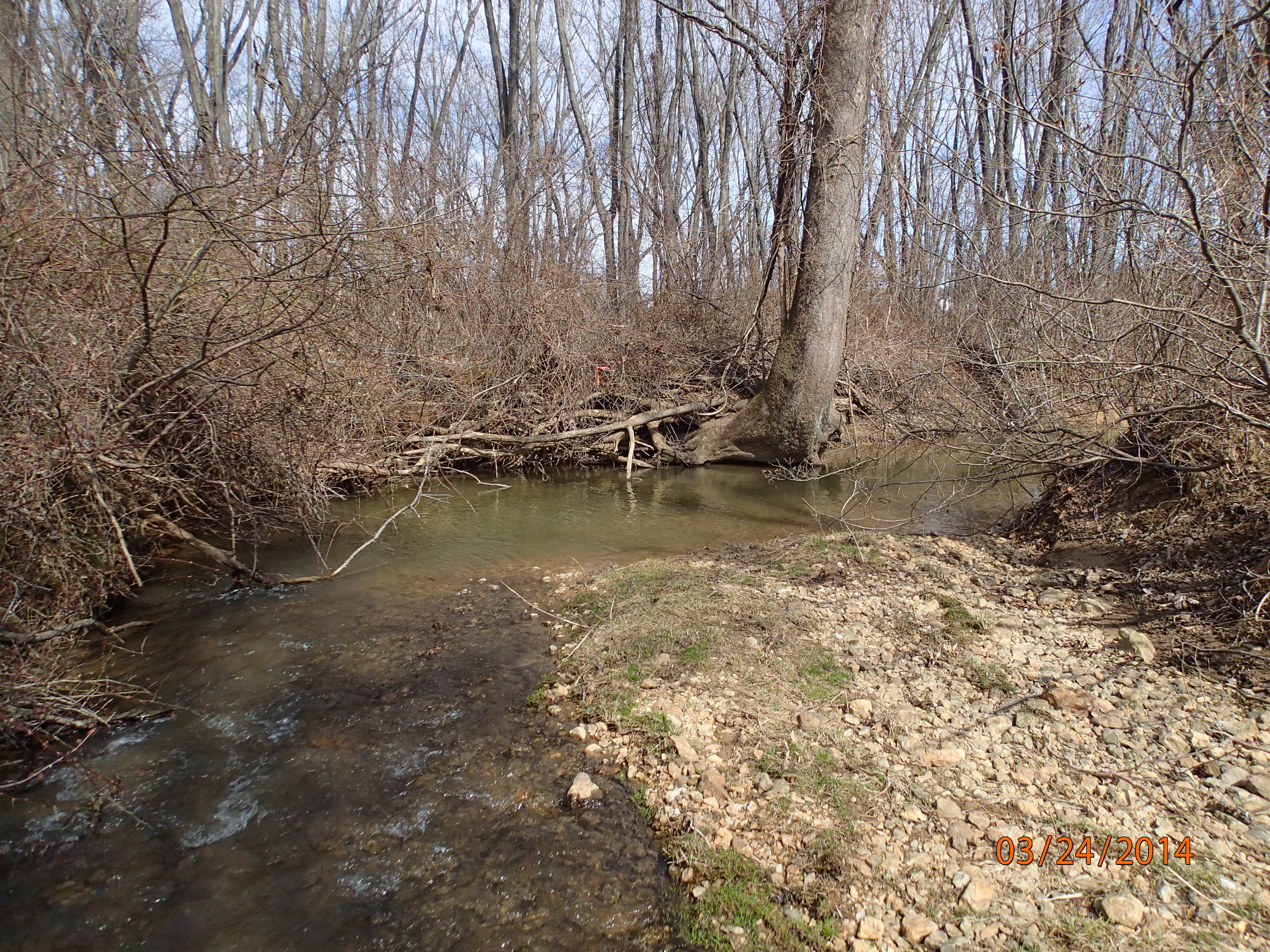 Field photo showing stream conditions at site LMON-203-X-2014-MidpointDownstream