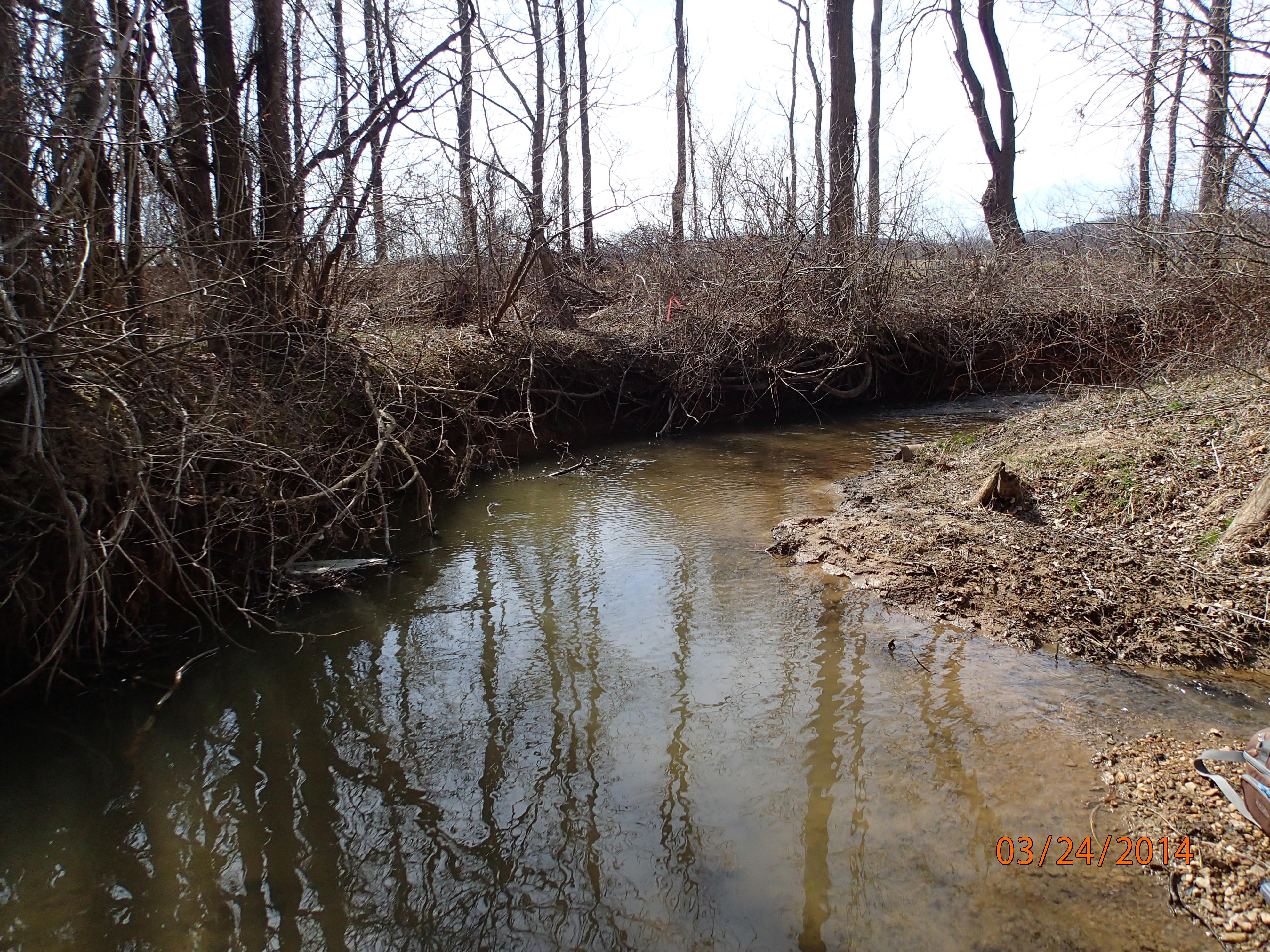 Field photo showing stream conditions at site LMON-203-X-2014-MidpointUpstream