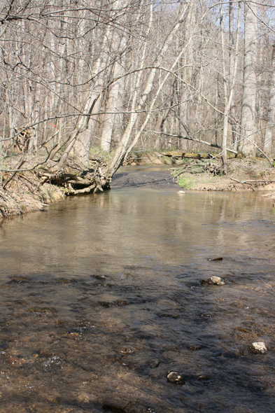 Field photo showing stream conditions at site LMON-204-B-2010-1