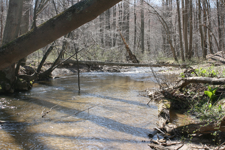 Field photo showing stream conditions at site LMON-204-B-2010-2