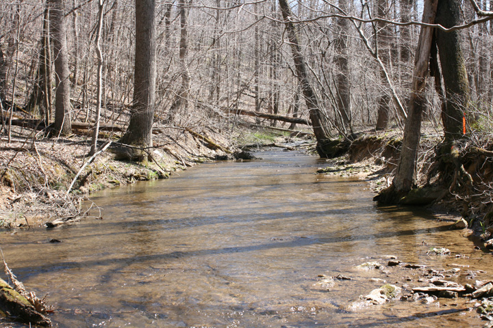 Field photo showing stream conditions at site LMON-205-B-2010-1