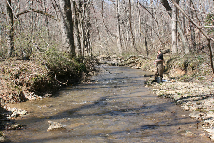 Field photo showing stream conditions at site LMON-205-B-2010-2