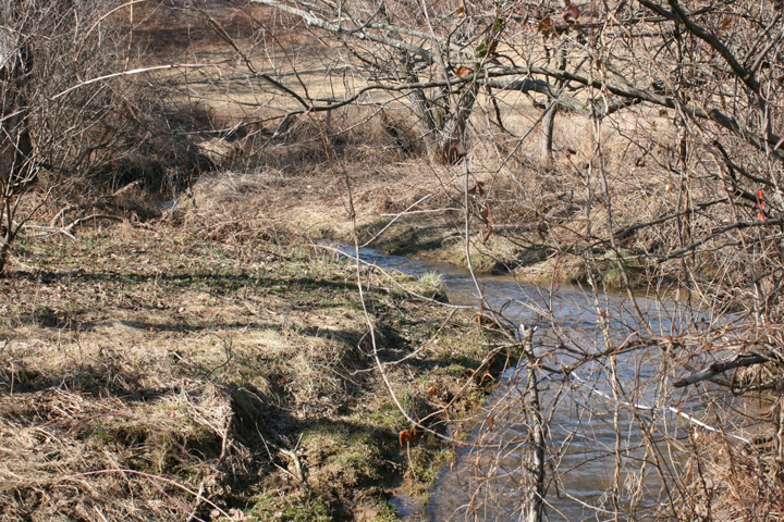 Field photo showing stream conditions at site LMON-209-A-2011-1