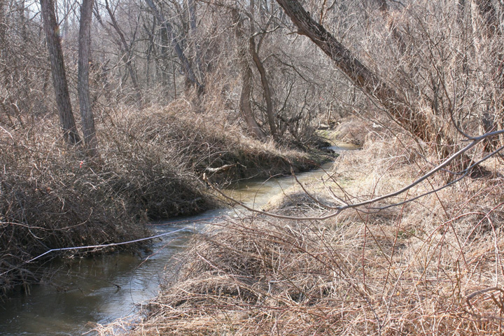 Field photo showing stream conditions at site LMON-209-A-2011-2