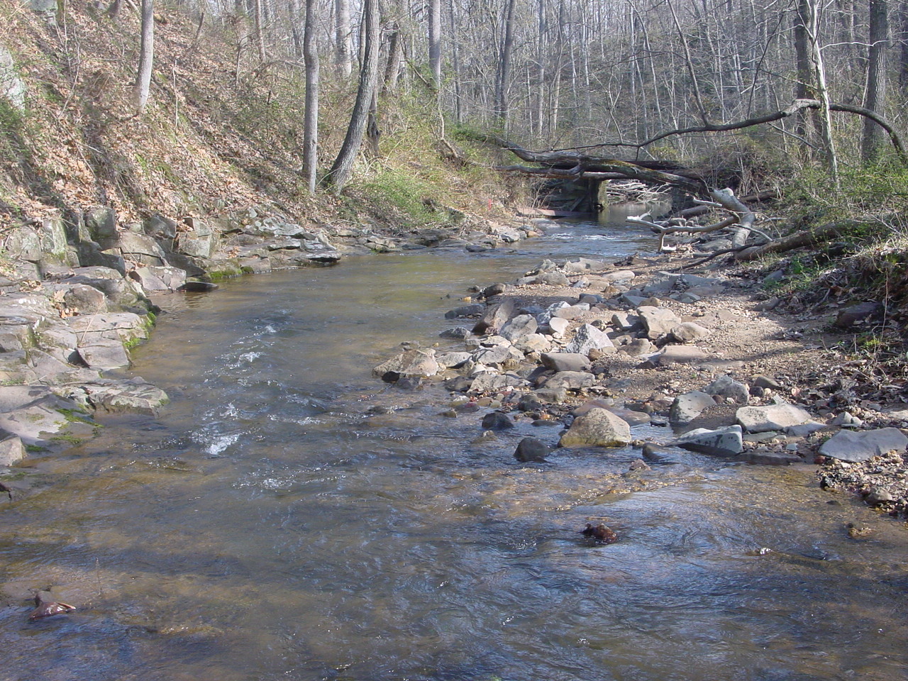 Field photo showing stream conditions at site LMON-210-R-2003-1