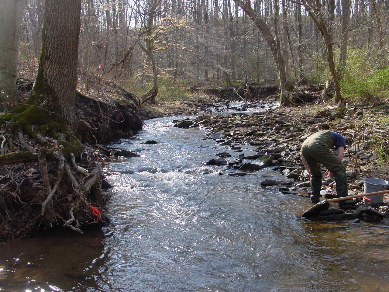 Field photo showing stream conditions at site LMON-210-R-2003-2
