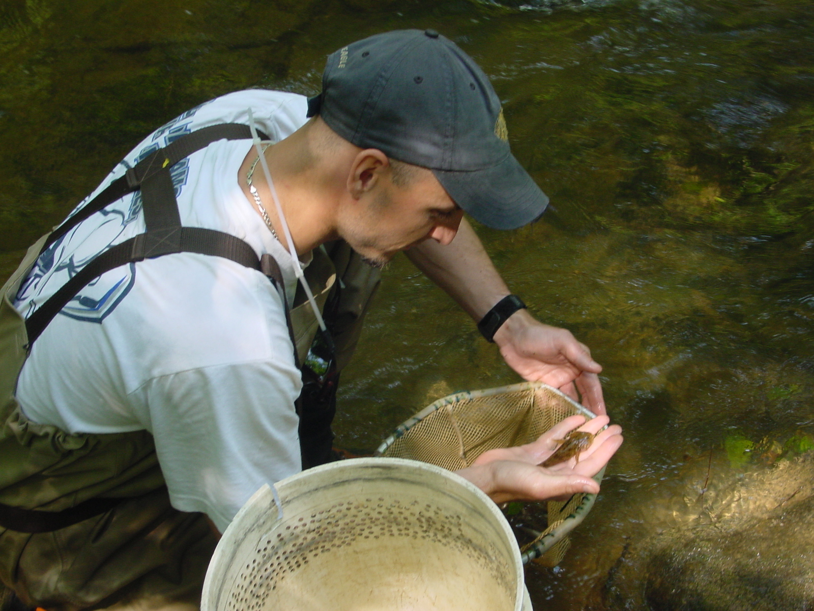 Field photo showing stream conditions at site LMON-210-R-2003-3