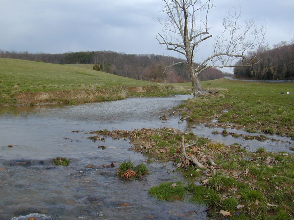 Field photo showing stream conditions at site LMON-210-T-2000-01