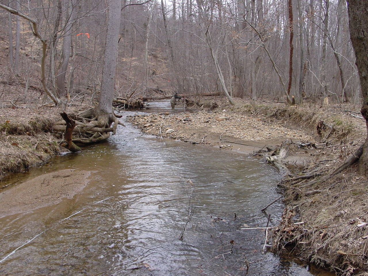 Field photo showing stream conditions at site LMON-215-R-2003-1