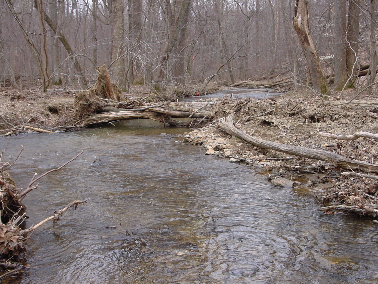 Field photo showing stream conditions at site LMON-215-R-2003-2
