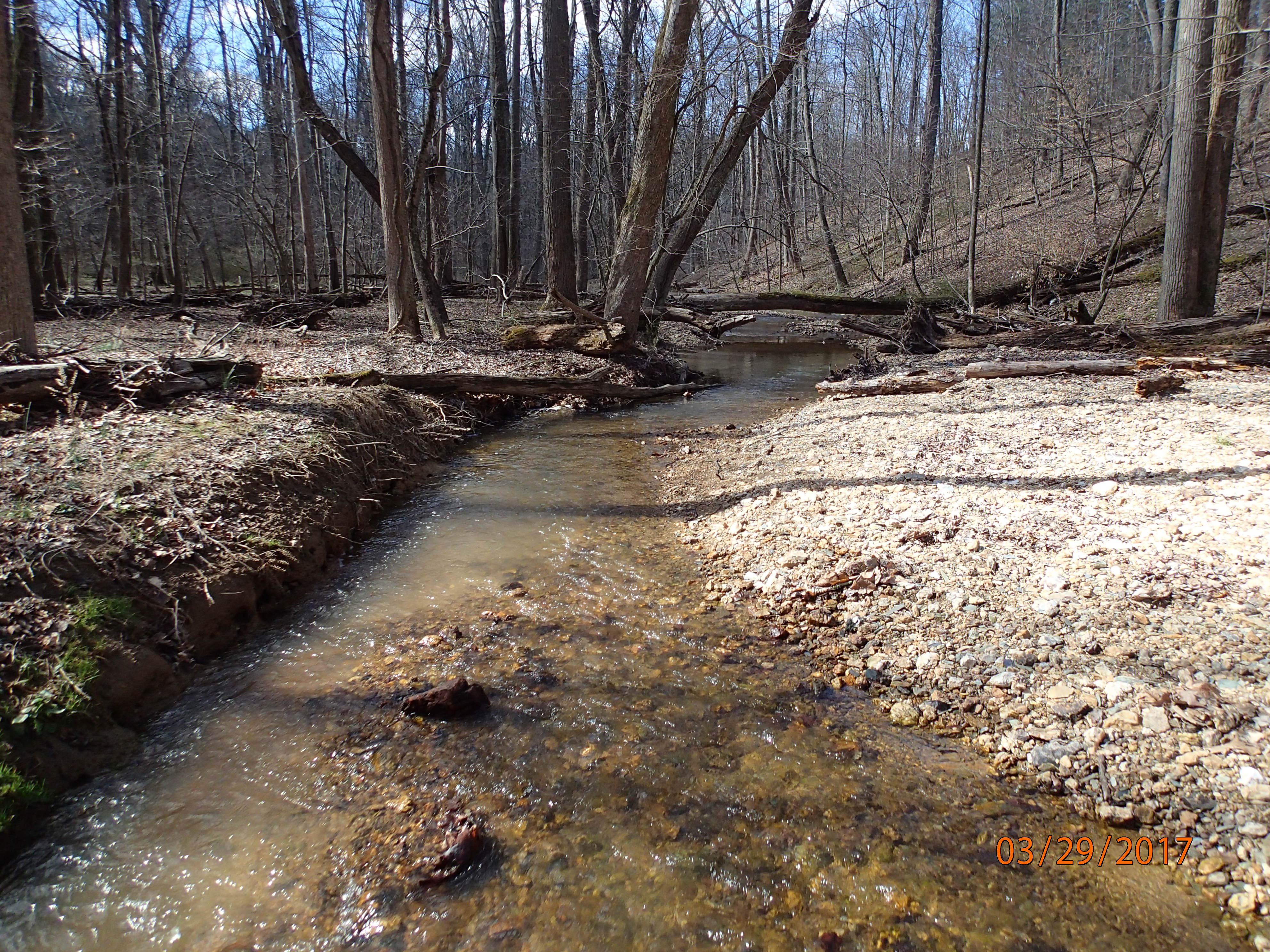 Field photo showing stream conditions at site LMON-215-R-2017-MidpointDownstream