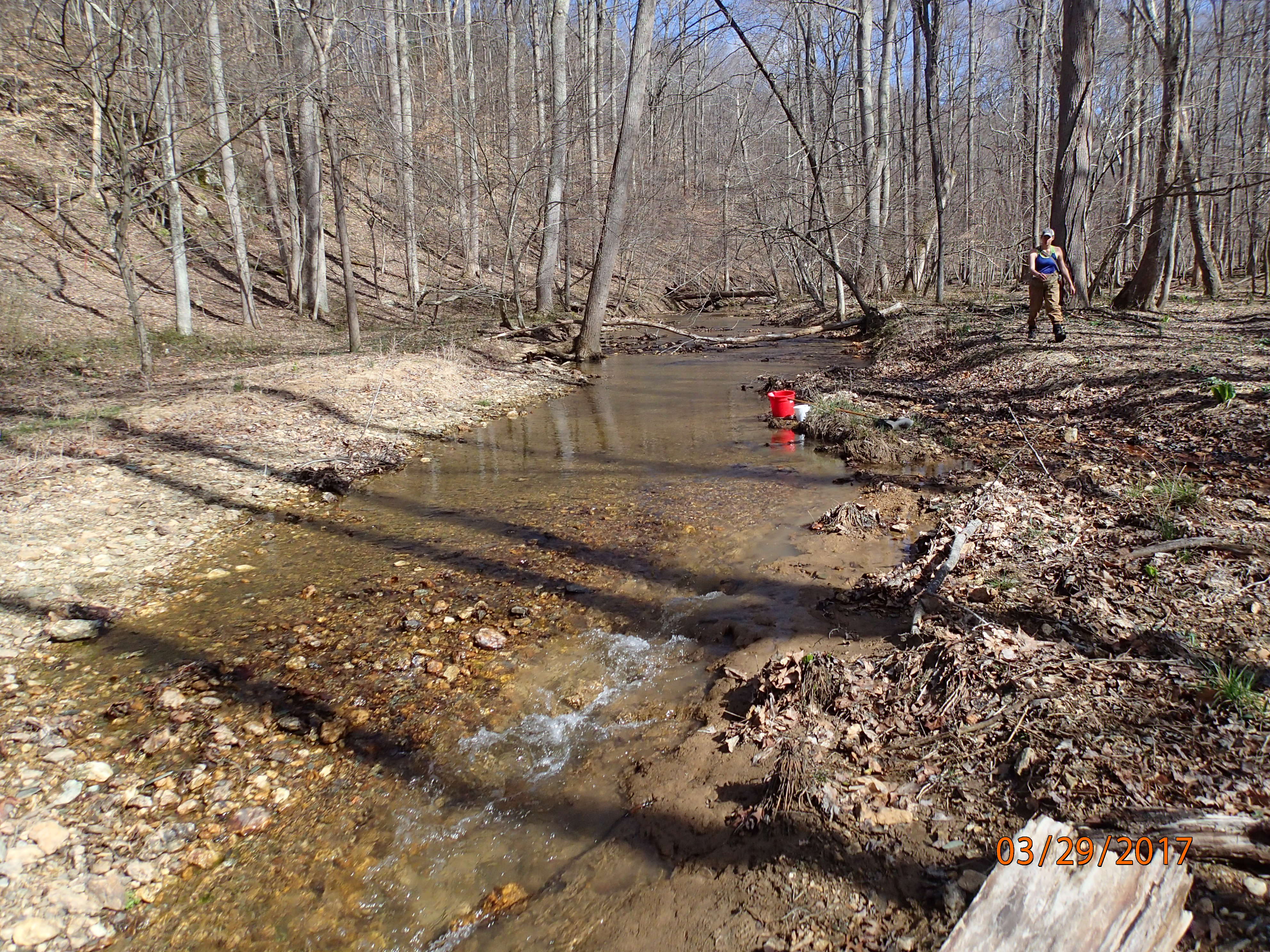 Field photo showing stream conditions at site LMON-215-R-2017-MidpointUpstream
