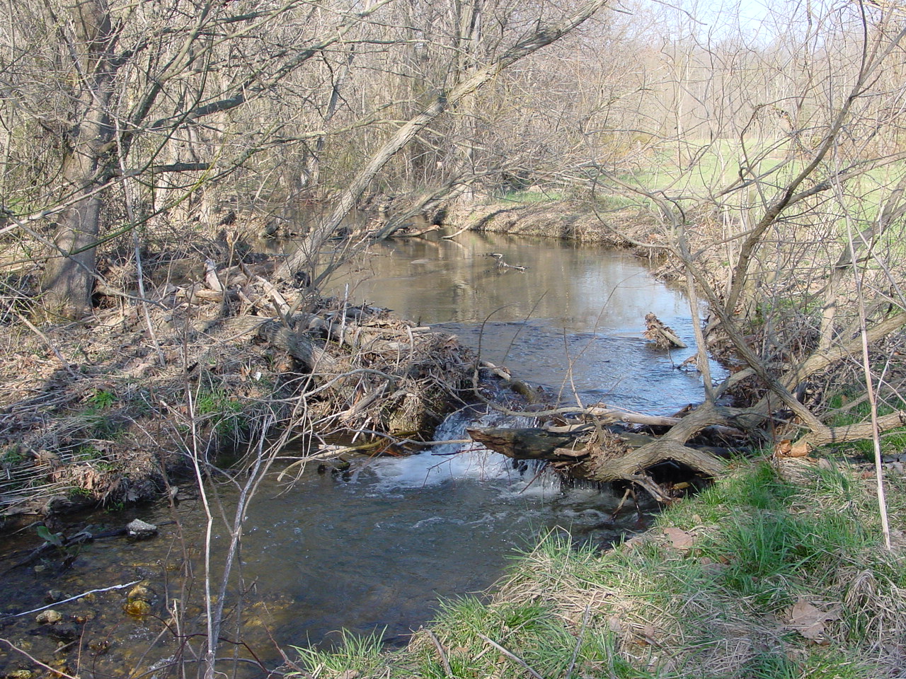 Field photo showing stream conditions at site LMON-220-R-2003-1