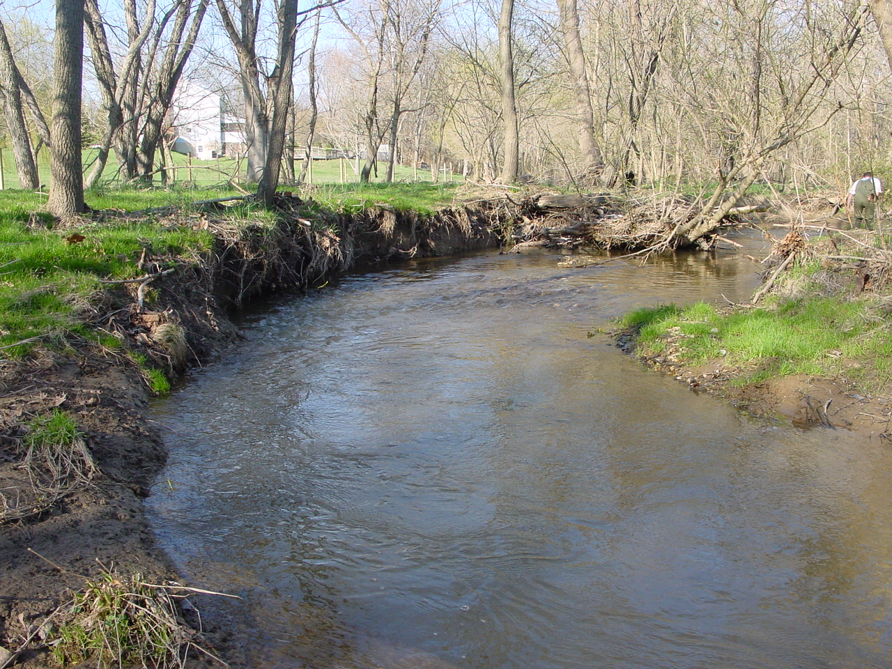 Field photo showing stream conditions at site LMON-220-R-2003-2