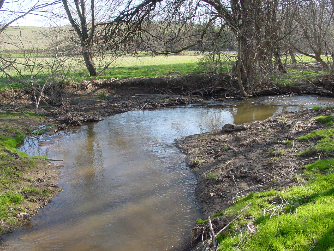 Field photo showing stream conditions at site LMON-220-R-2003-3
