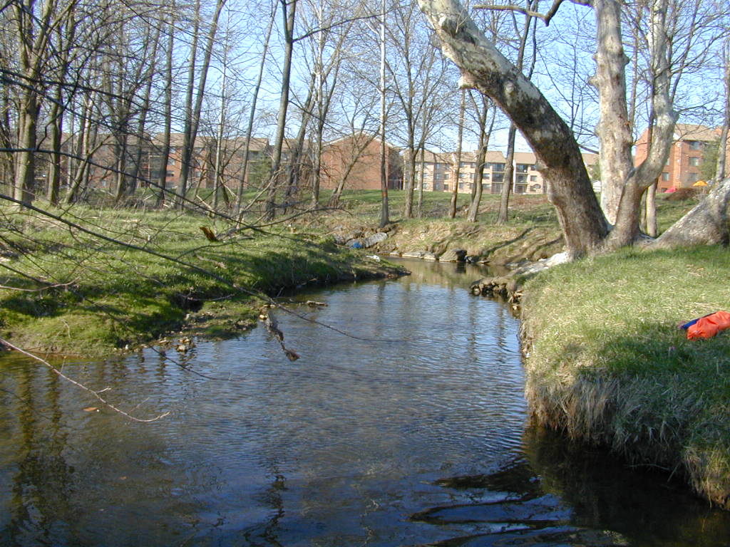 Field photo showing stream conditions at site LMON-220-T-2000-01
