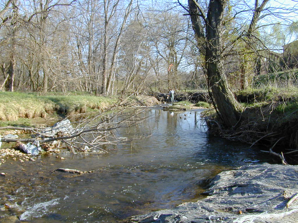 Field photo showing stream conditions at site LMON-220-T-2000-02