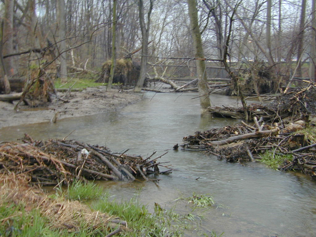 Field photo showing stream conditions at site LMON-227-T-2000-01
