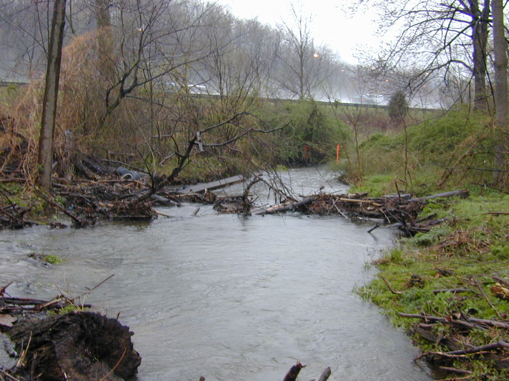 Field photo showing stream conditions at site LMON-227-T-2000-02
