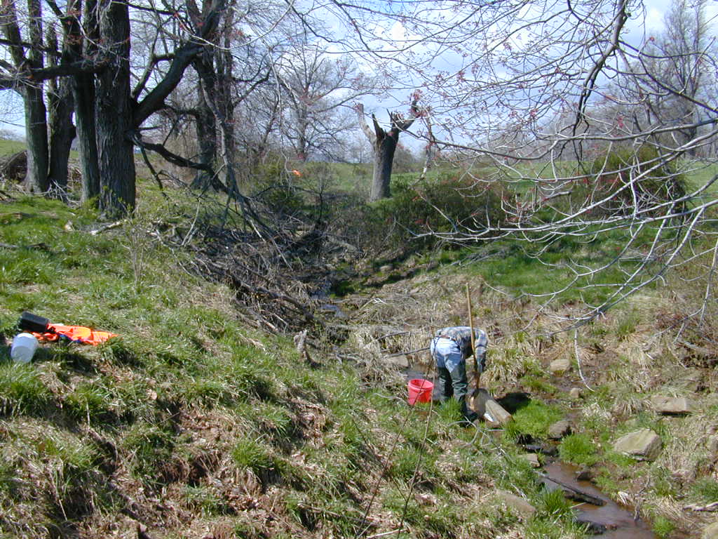 Field photo showing stream conditions at site LMON-231-T-2000-01