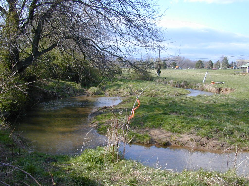 Field photo showing stream conditions at site LMON-237-T-2000-01