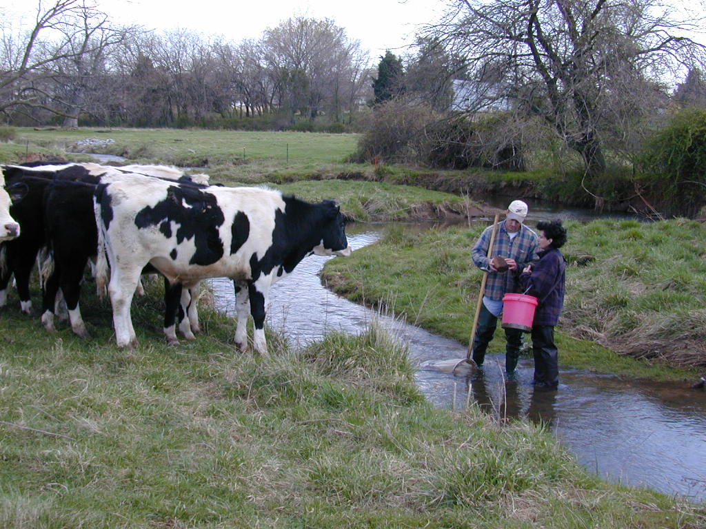 Field photo showing stream conditions at site LMON-237-T-2000-02