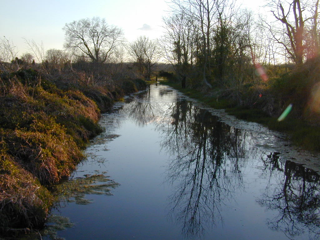 Field photo showing stream conditions at site LMON-239-T-2000-01