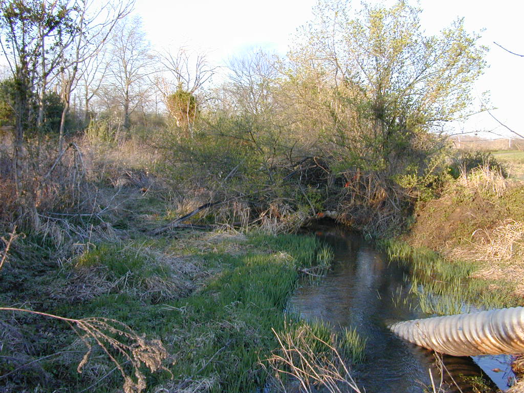 Field photo showing stream conditions at site LMON-239-T-2000-02
