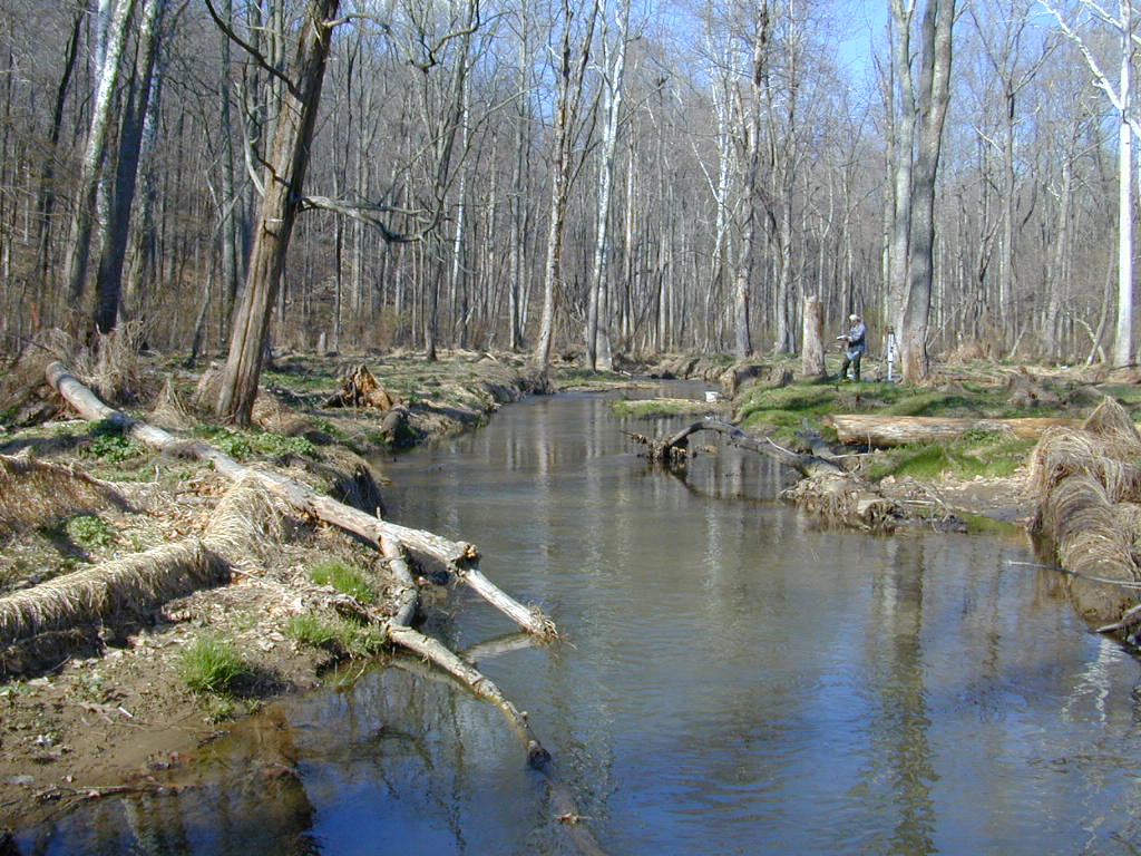 Field photo showing stream conditions at site LMON-240-T-2000-01