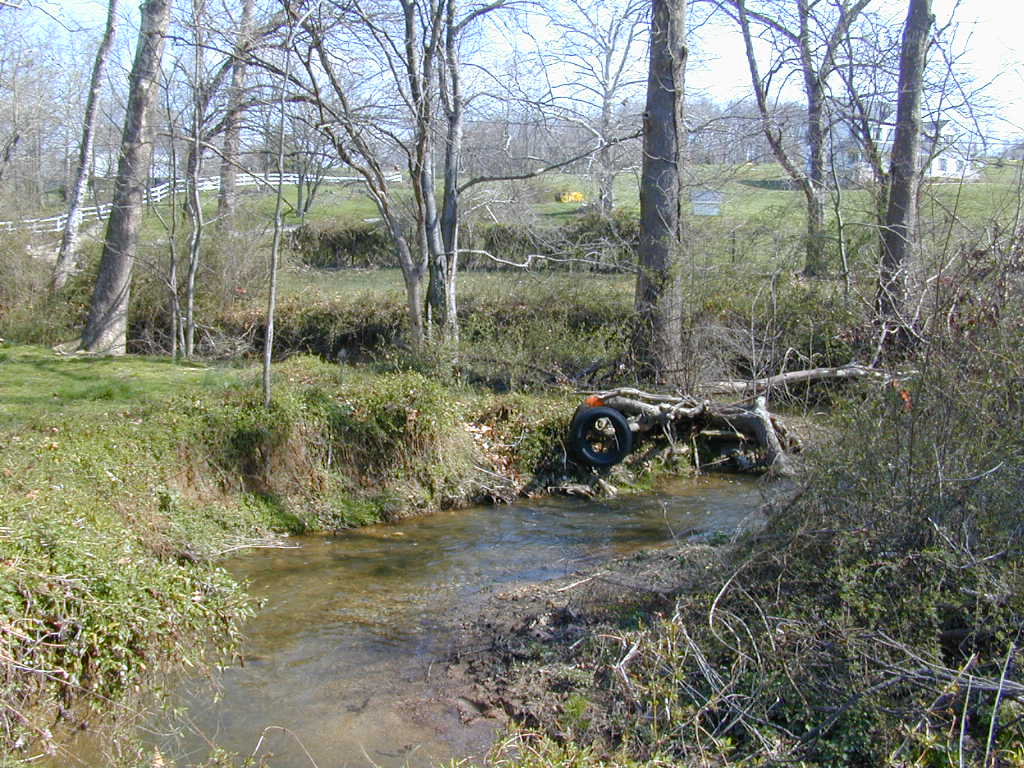 Field photo showing stream conditions at site LMON-252-T-2000-01
