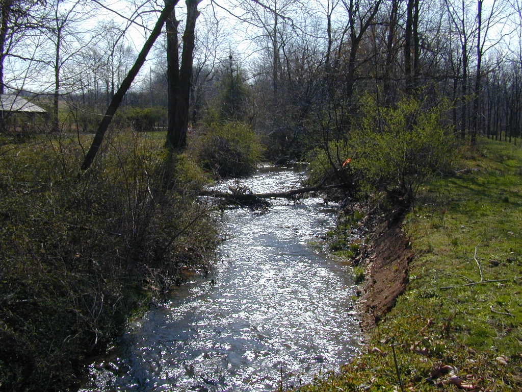 Field photo showing stream conditions at site LMON-252-T-2000-02