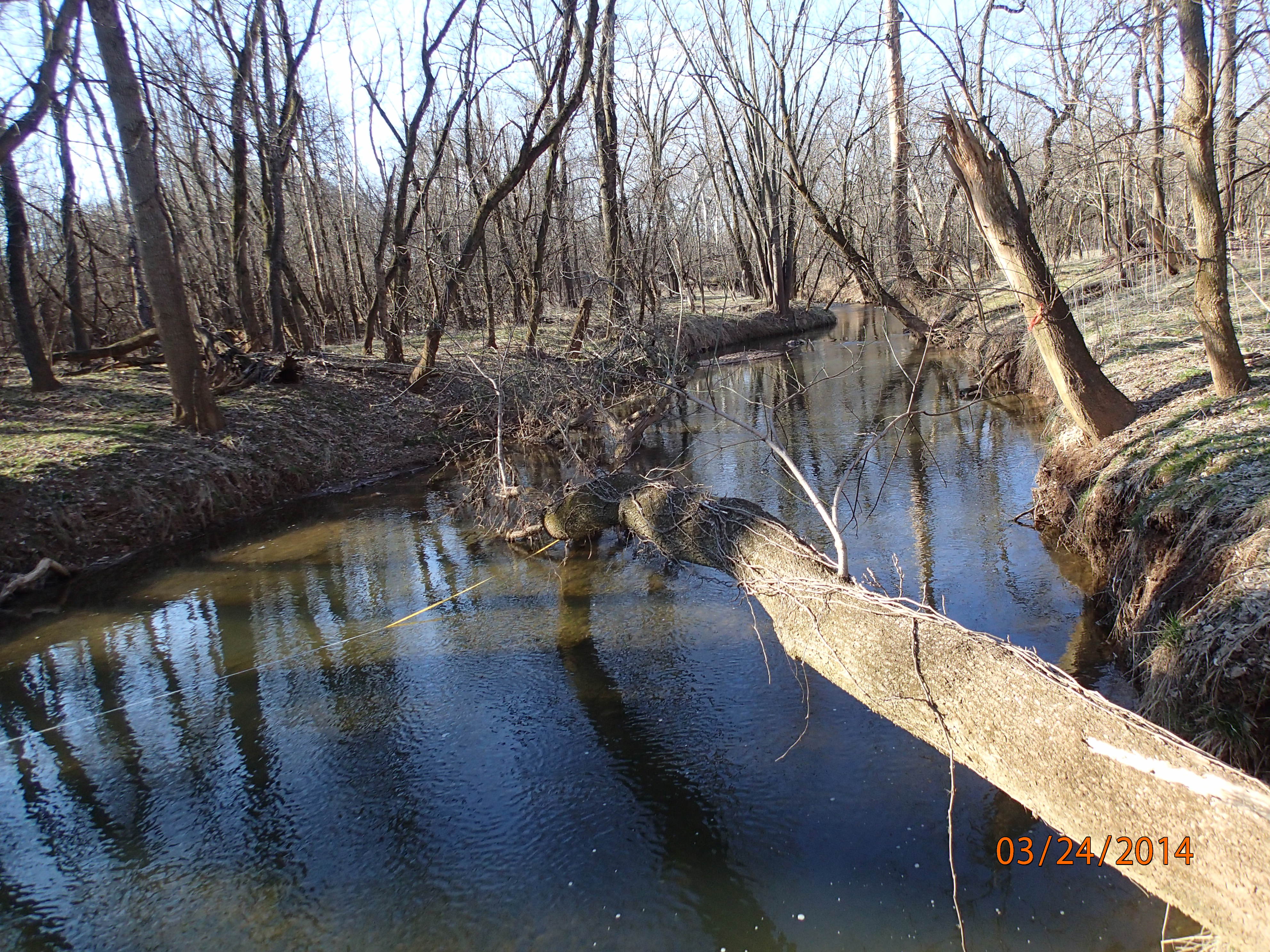 Field photo showing stream conditions at site LMON-301-X-2014-MidpointUpstream